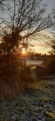 Fototapeta na wymiar sunrise through trees across frozen fields