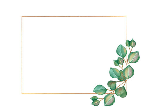 Watercolor hand painted nature rectangular frame with green eucalyptus leaves on branch and golden border line on the white background for invite and greeting card with space for text