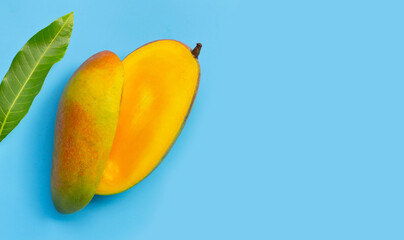 Tropical fruit, Mango on blue background.