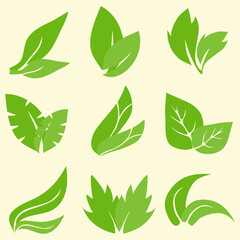 Green leaf icon. Set of green leaves isolated on white background. Vector, cartoon illustration. Vector.