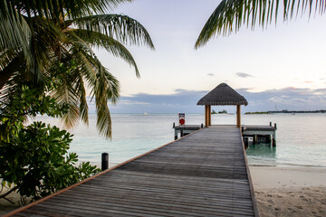 Wooden jetty extending into the ocean with lush palm trees around  and thatched bungalow at the end, Maldives.
