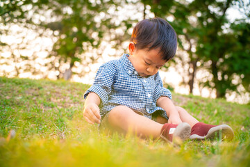 Adorable toddler boy sitting on green grass sunset park