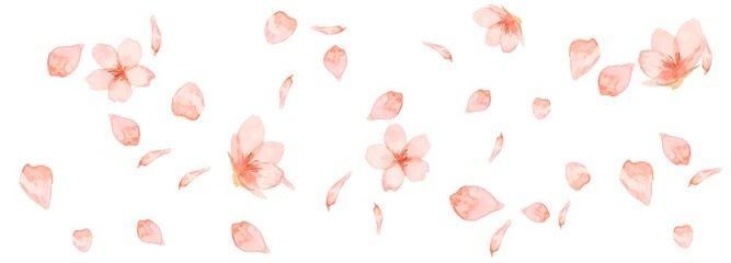 水彩さくら　背景素材　花びら素材
