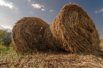 Countryside landscape with round bales of hay in the foreground
