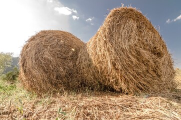 Countryside landscape with round bales of hay in the foreground