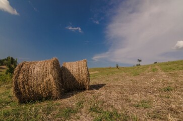 Countryside landscape with round bales of hay in the foreground