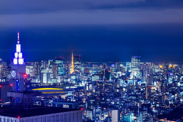 高層ビルが立ち並ぶ都会の夜景