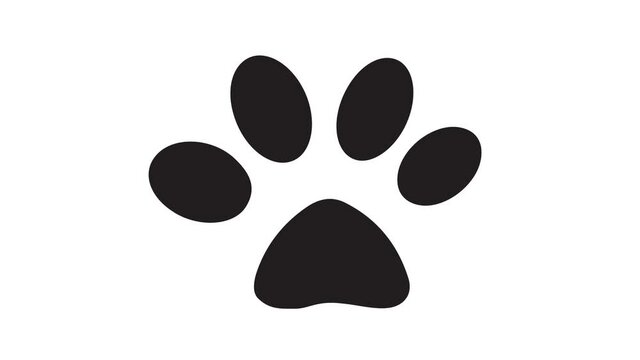 Animal paw print. Animated Video.
