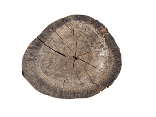 Brown tree stump Cut into large circles on the White Background
