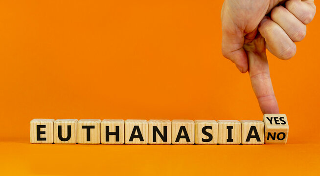 Euthanasia yes or no symbol. Male hand turns cubes and changes words 'Euthanasia yes' to 'Euthanasia no'. Medical and euthanasia yes or no concept. Beautiful orange background, copy space.