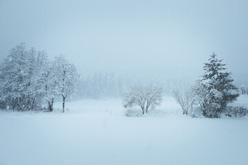Fototapeta na wymiar Winter Nebel Landschaft