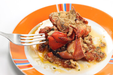 fish ragout with lobster
