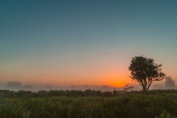 Fototapeta na wymiar Landschaft im Nebel bei Sonnenaufgang