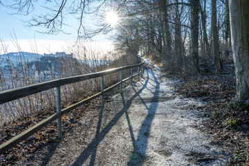 Fototapeta premium footpath in winter forest in salzburg on mönchsberg