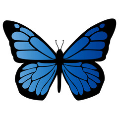 blue butterfly isolated on white background
