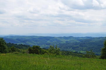 Obraz premium Panoramic view of mountains covered with green grass and coniferous forest under blue sky on summer day