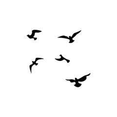 Flying birds black silhouette, vector illustration.