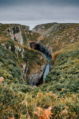 Vegetación atlántica