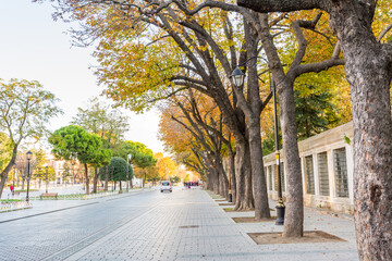 A row of tree in the Hippodrome of Constantinople also named Sultan Ahmet Square under golden sunlight in the morning in autumn in Istanbul, Turkey