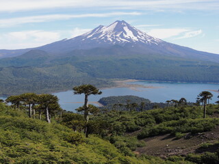 Fototapeta premium Un parque estrella
