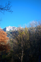 Waldspaziergang in Schaan in Liechtenstein 14.11.2020