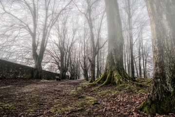 Obraz premium Düster