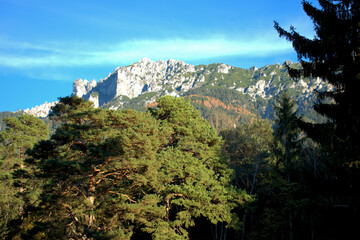 Waldspaziergang in Schaan in Liechtenstein 14.11.2020