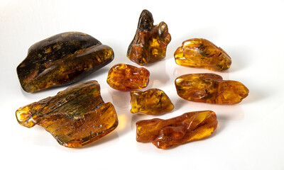 Beautiful natural Baltic amber pieces of different colors shapes and sizes on a white background. Ancient amber with inclusion as plant moss and tiny twig.