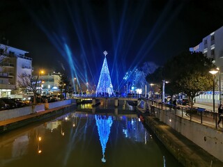 Natale Riccione Albero Luci notte