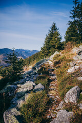 Fototapeta na wymiar A rocky mountain with trees in the background