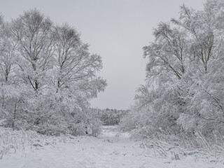 Fototapeta na wymiar Rural winter snow scene on Wetley Moor, Staffordshire, UK.