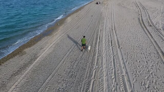 Man Walking Dog on the Beach