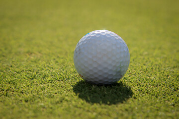 Ein Golfball liegt ruhig auf dem Grün eines Golfplatz.
