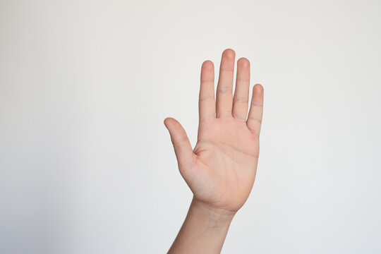 isolated child hand shows the number five. young hand gesture sign. raising hand. ask to speak
