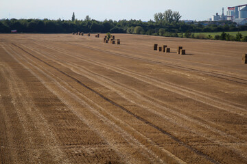 Obraz premium Viele Strohballen stehen gestapelt auf einem abgeernteten Feld.