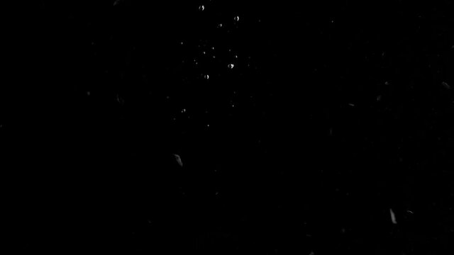 Lime Slice Falling into Water Super Slowmotion, Black Background, lots of Air Bubbles, 4k240fps