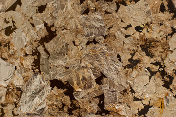 background Gold leaf