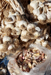 dried organic garlic at the market counter