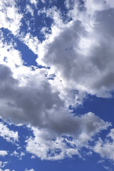 Obraz premium Bottom view of a blue sky with white clouds.