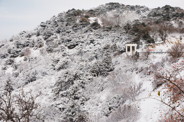 Winter time with snow trees and sea. Snowy landscape in Anapa