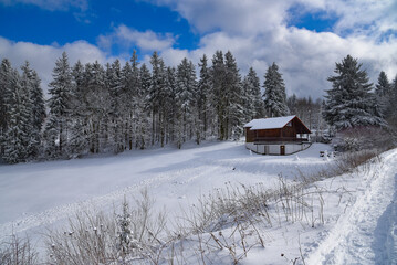 Winter im Th&uuml;ringer Wald