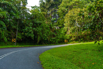 Fototapeta na wymiar Mountain serpentine asphalt road in the Asian mountain jungle