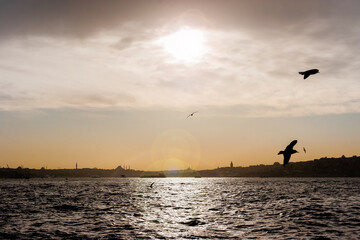 Panoramic view of Istanbul from a boat on the Bosphorus river at sunset