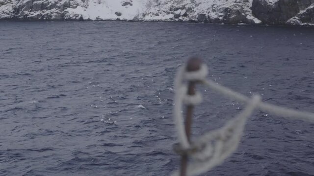 Gaviotas posadas en oc&eacute;ano &aacute;rtico, Noruega