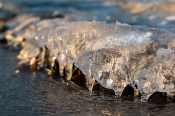 Transparent shining clear ice icicle close-up sparkling on frozen wild lake surface in sunset light. Cold winter nature background