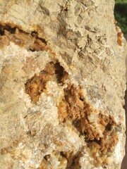 closeup photo of limestone with quartz secretion inside. Quartz in a limestone cavern