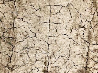 Sandy soil, salt marshes, the texture of the earth