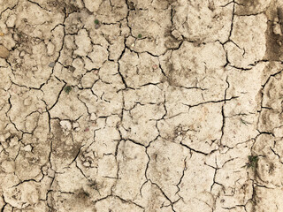 Sandy soil, salt marshes, the texture of the earth