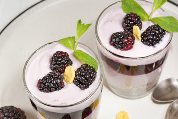 White delicious yogurt dessert with blackberries, granola and jelly. Healthy Breakfast, light snack. Horizontal. Diet.