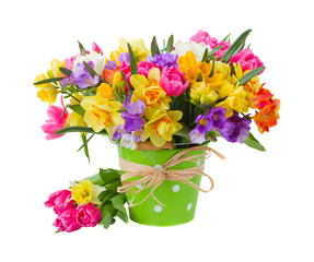 freesia and daffodil flowers in blue pot